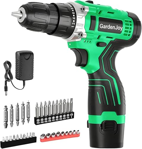 GardenJoy Juego de taladro eléctrico inalámbrico taladro eléctrico de 12 V con batería y cargador, 65 piezas de accesorios, portabrocas sin llave de