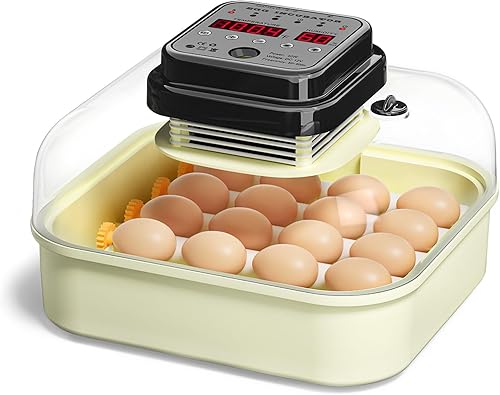 Hethya Incubadora de huevos 12-16, incubadoras para incubar huevos con control de humedad, girador automático de huevos y vela de huevos, incubadora