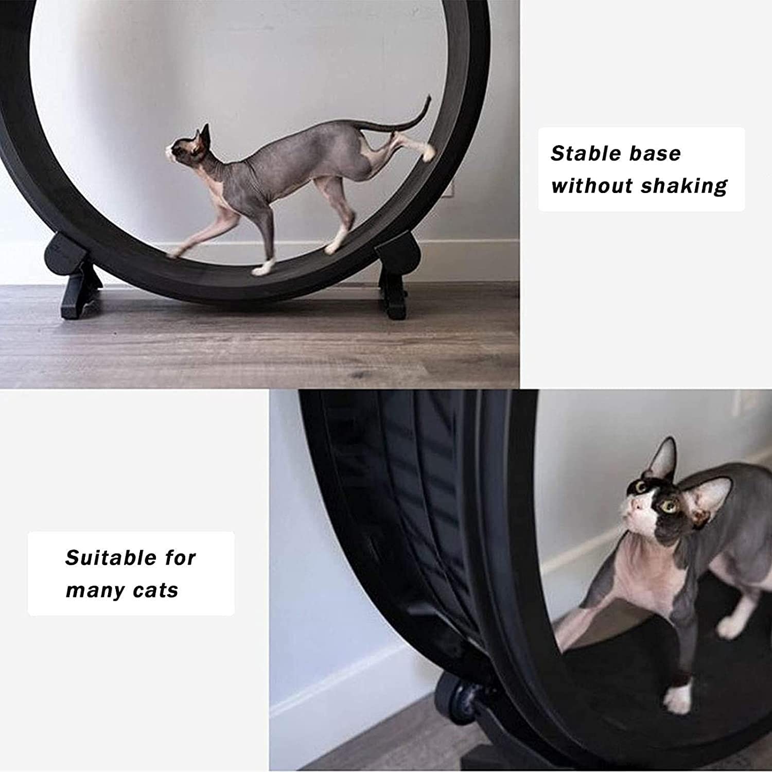 Rueda de ejercicio para gatos para tu gato de interior – Máquina de correr silenciosa para gatos – El mejor juguete para gatos pequeños y medianos – Juguete deportivo para gatos de fitness para gatos