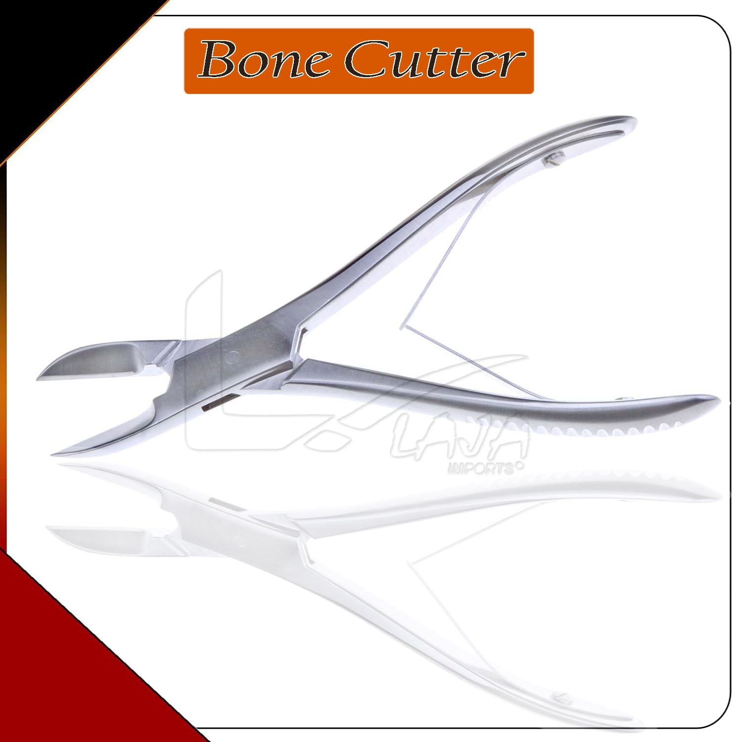 Wave Point 20 LBS - Natural Ocean Coral Base Rock (Assorted Size) for Saltwater, African Cichlids, Brackish Freshwater Aquariums, and Koi Fish Pond