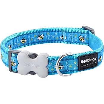 triple coated dog breeds