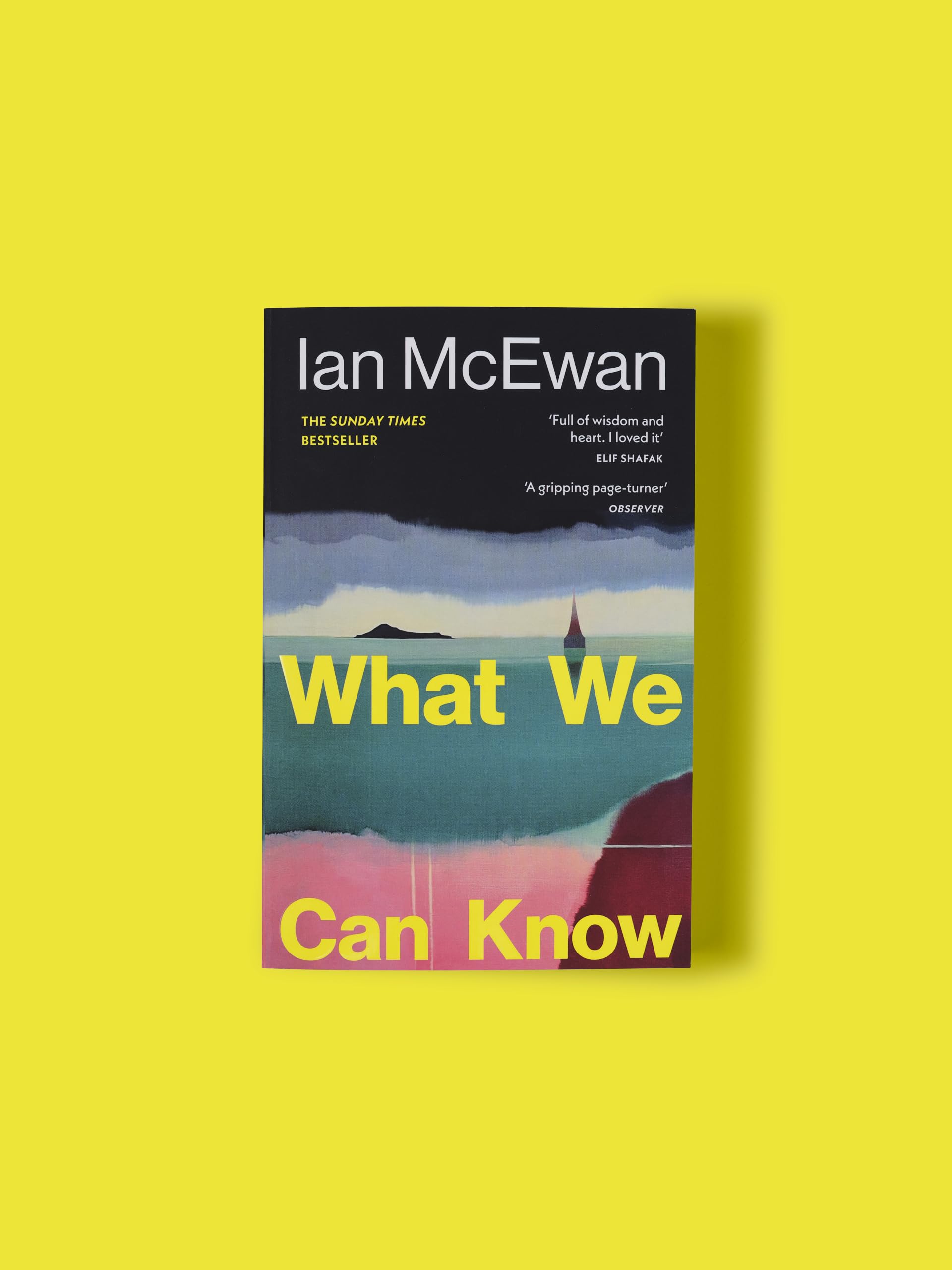 What We Can Know: The new Sunday Times bestseller from the author of Atonement