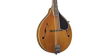 Geordie Mandoliniさん専用 Kentucky KM-252 Deluxe A-Model Mandolin – Transparent Amber