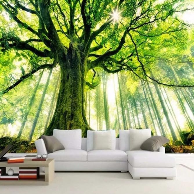 Papier Peint Mural Paysage Naturel de Forêt pour Salon Confortable