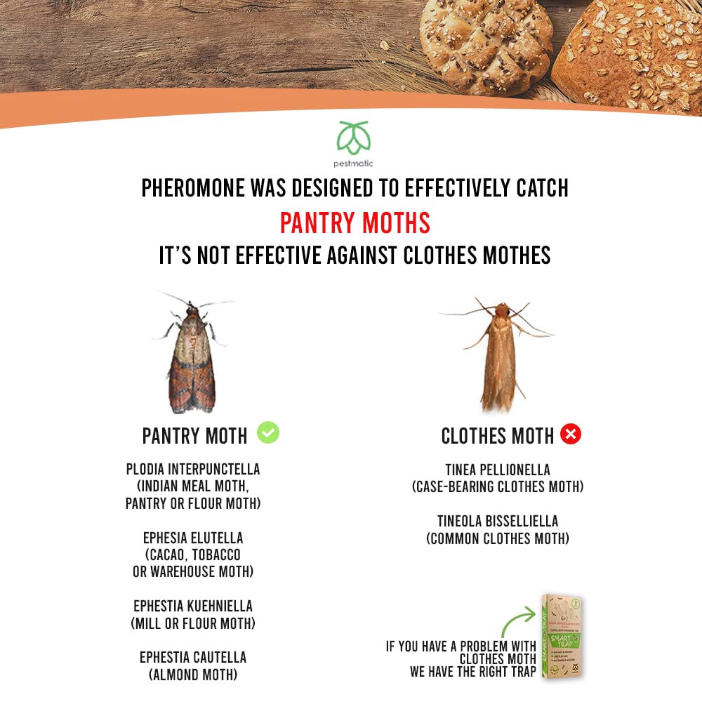 Pestmatic Smart Moth Trap x8, Pantry Moth Monitoring Trap for Kitchen