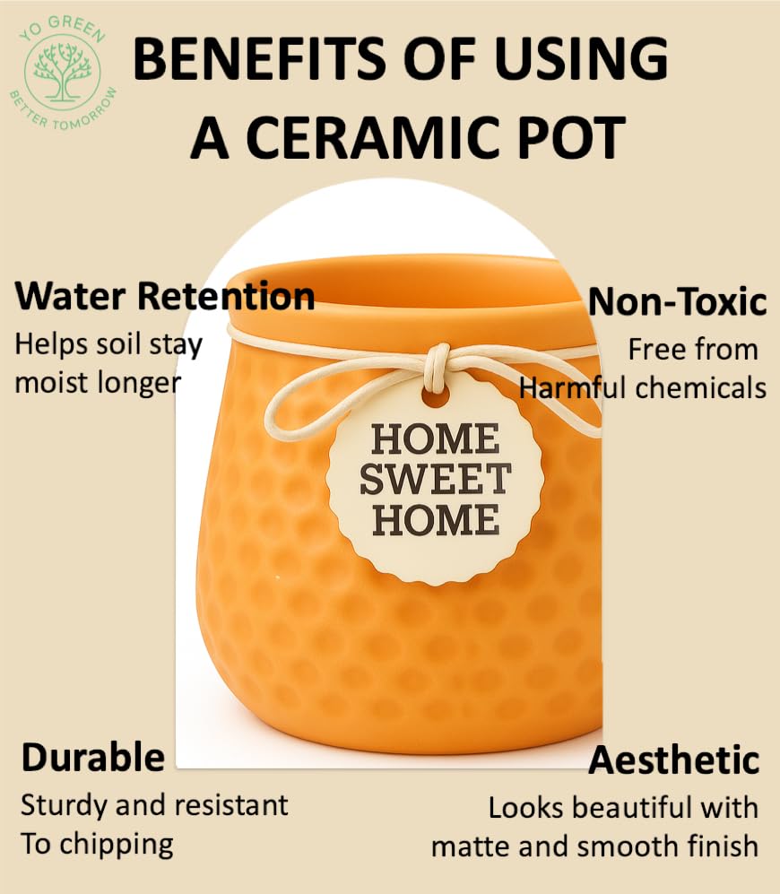 Image of Yo Green Ceramic Plant Pot for Indoor & Outdoor, Modern Planter for Home & Office Decor, Durable, Stylish Finish, Ideal for Tabletop, Shelf, Balcony, Great Gift Idea (Citrus, 4 Inches)