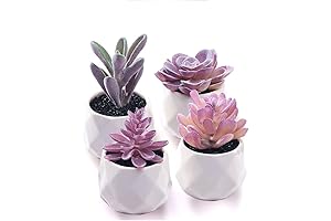 CADNLY Fake Succulent Plant Set - Realistic Faux Succulents in Purple Ceramic Pots for Desk