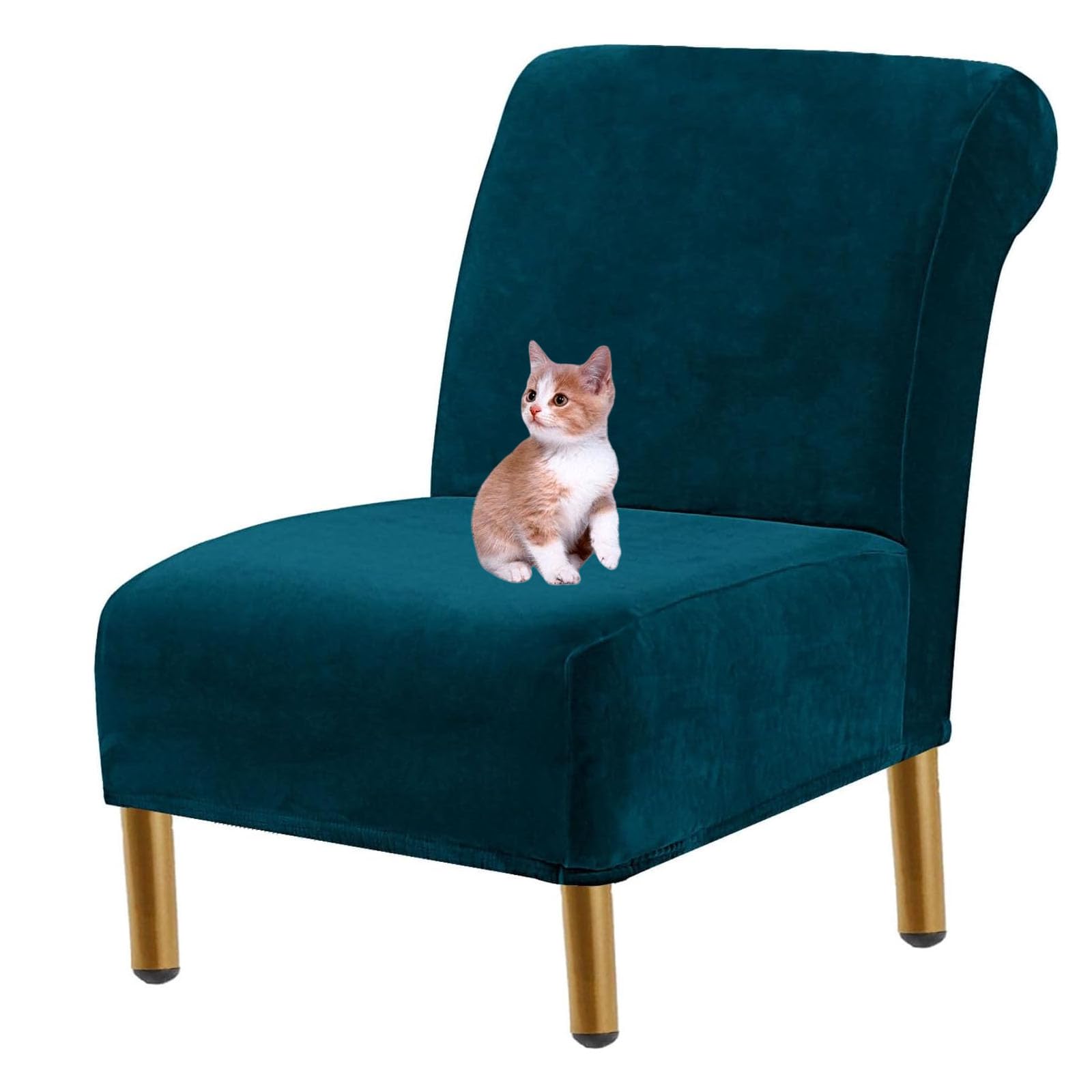 Housses de chaise velours bleu foncé haut de gamme pour séjour