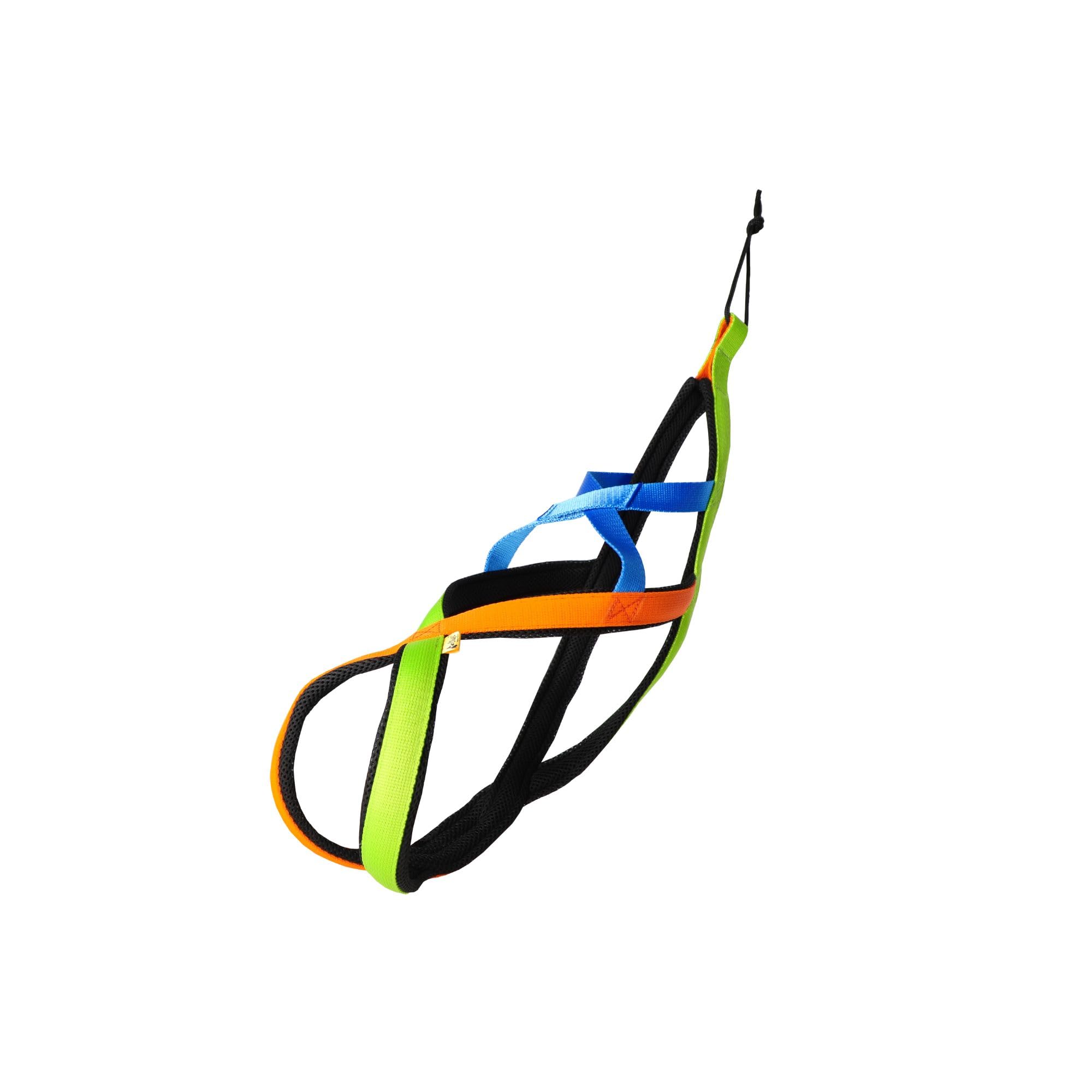Dingo 15082 - Arnés para perros Active Sled Sydney con banda izquierda, verde, derecha, naranja, espalda azul, Canicross Bikejoring o Skijoring, talla XXL