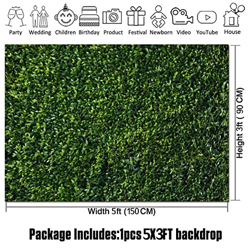 Fondo fotográfico HQM hojas verdes 5x3 FT miniatura 5