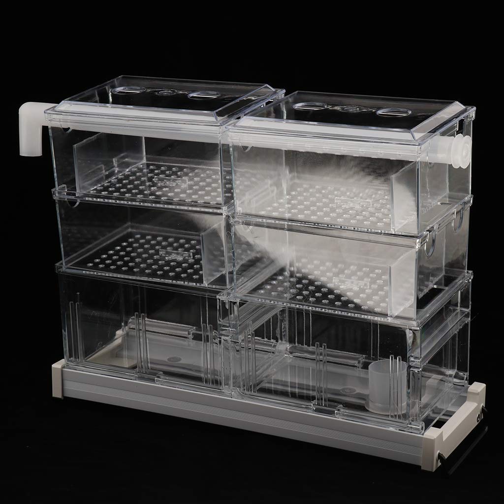 Transparent Aquarium Filter Box Filterkasten Fish Tank Filterausstattung