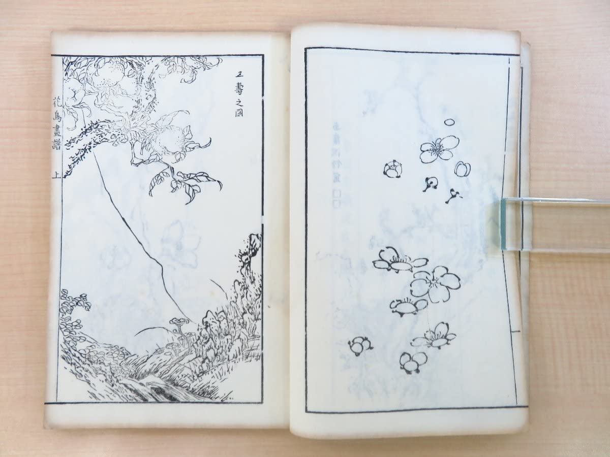 Amazon.co.jp: 宋紫石『南画宋紫石花鳥画譜』（全3冊揃）松山堂書店刊
