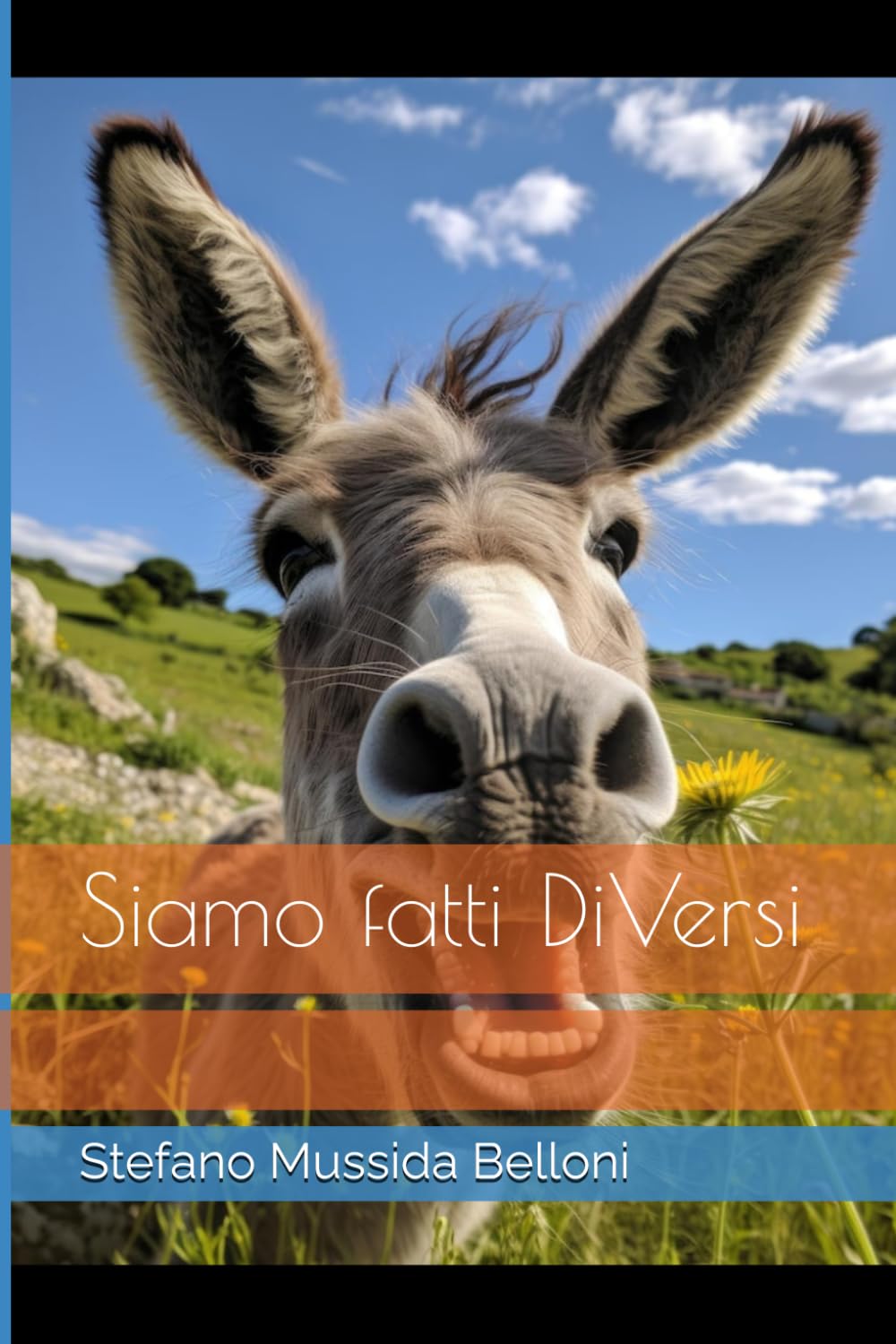 Siamo fatti DiVersi
