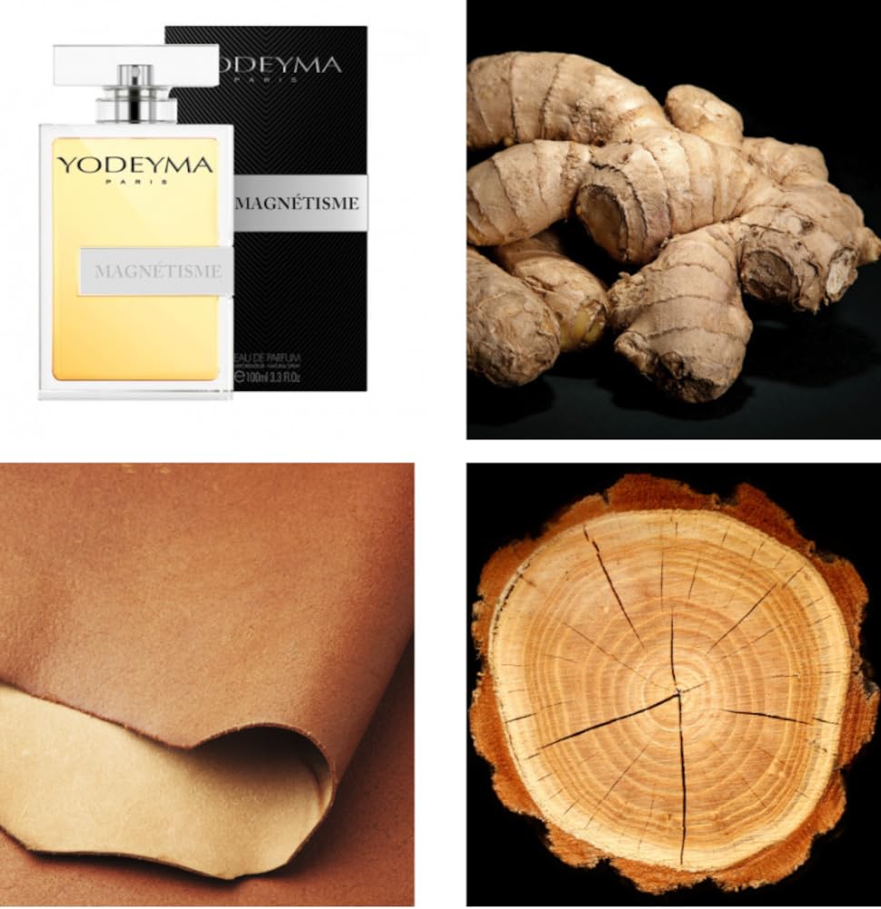 Y.o.d.e.y.m.a Profumo MAGNETISME | Eau de Parfum | the niche collection | Profumo legnoso | Fragranza maschile da 15-50-100 ml + profumatore VLNET in OMAGGIO (100 ml)
