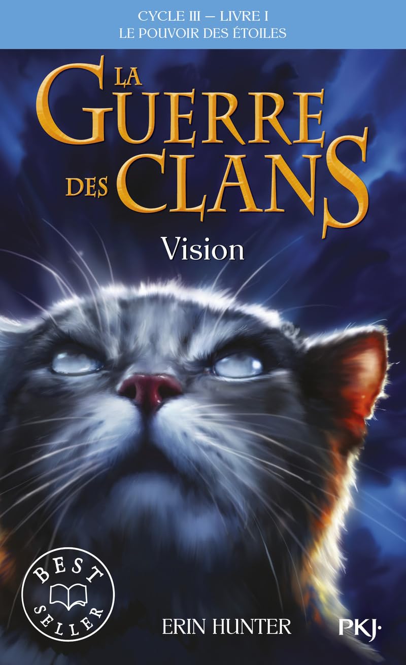 La guerre des Clans cycle III Le pouvoir des étoiles - tome 1 vision (1) (Hors collection sériel)