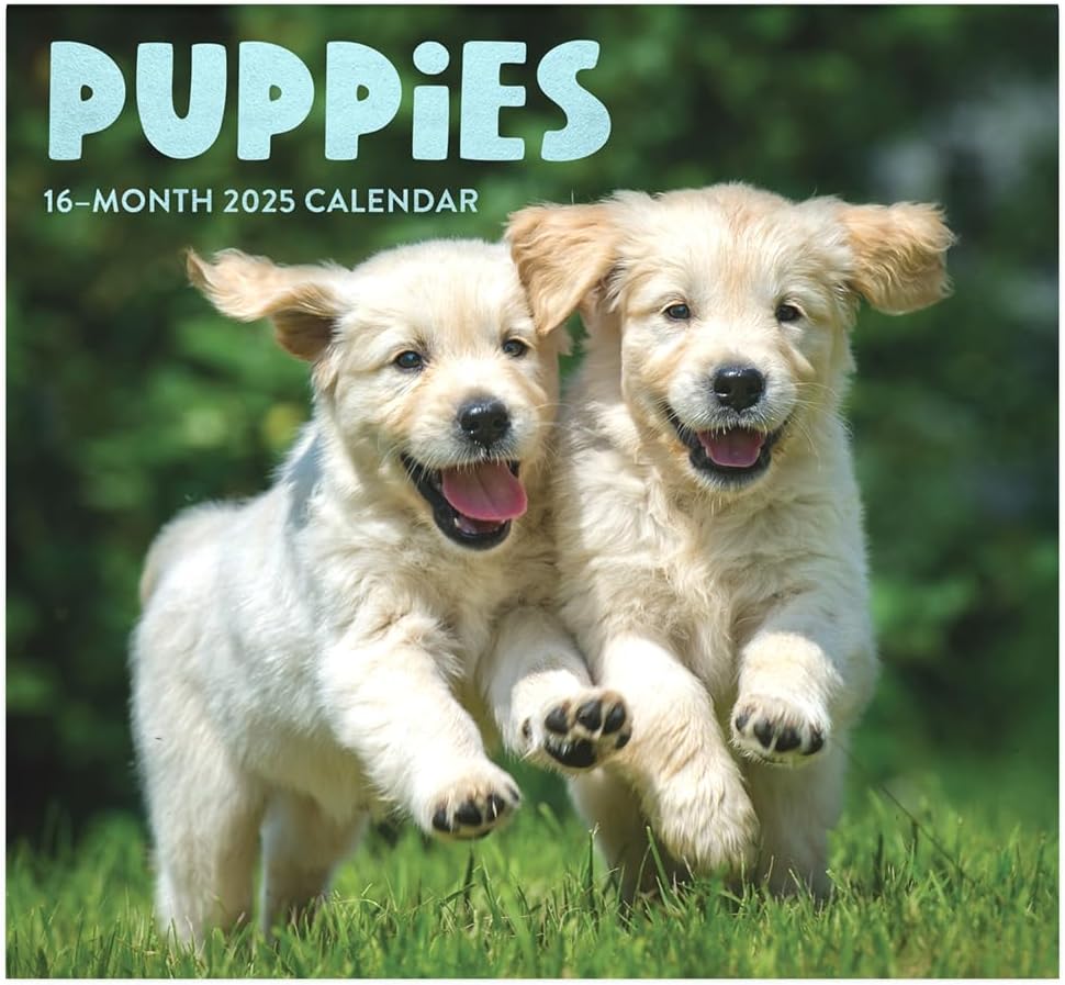 Puppies 2025 Full Size Wall Calendar for Planning, Liberia Ubuy