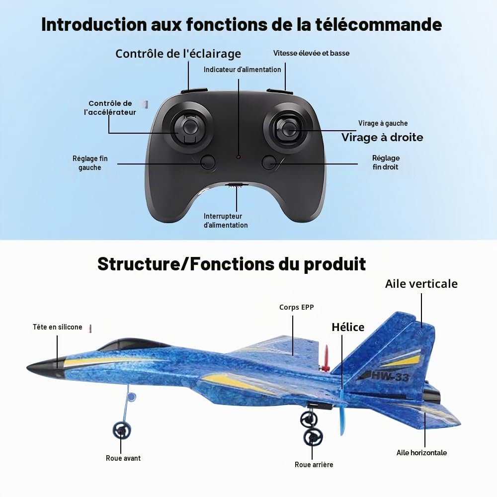Avion Télécommandé, F22 RC Avions Radiocommandé, 2.4 GHz Avione Télécommandé Avions RC pour Enfants, Avion de Chasse Radiocommandé, Planeur Volant Télécommandés pour Débutants Enfants Adultes