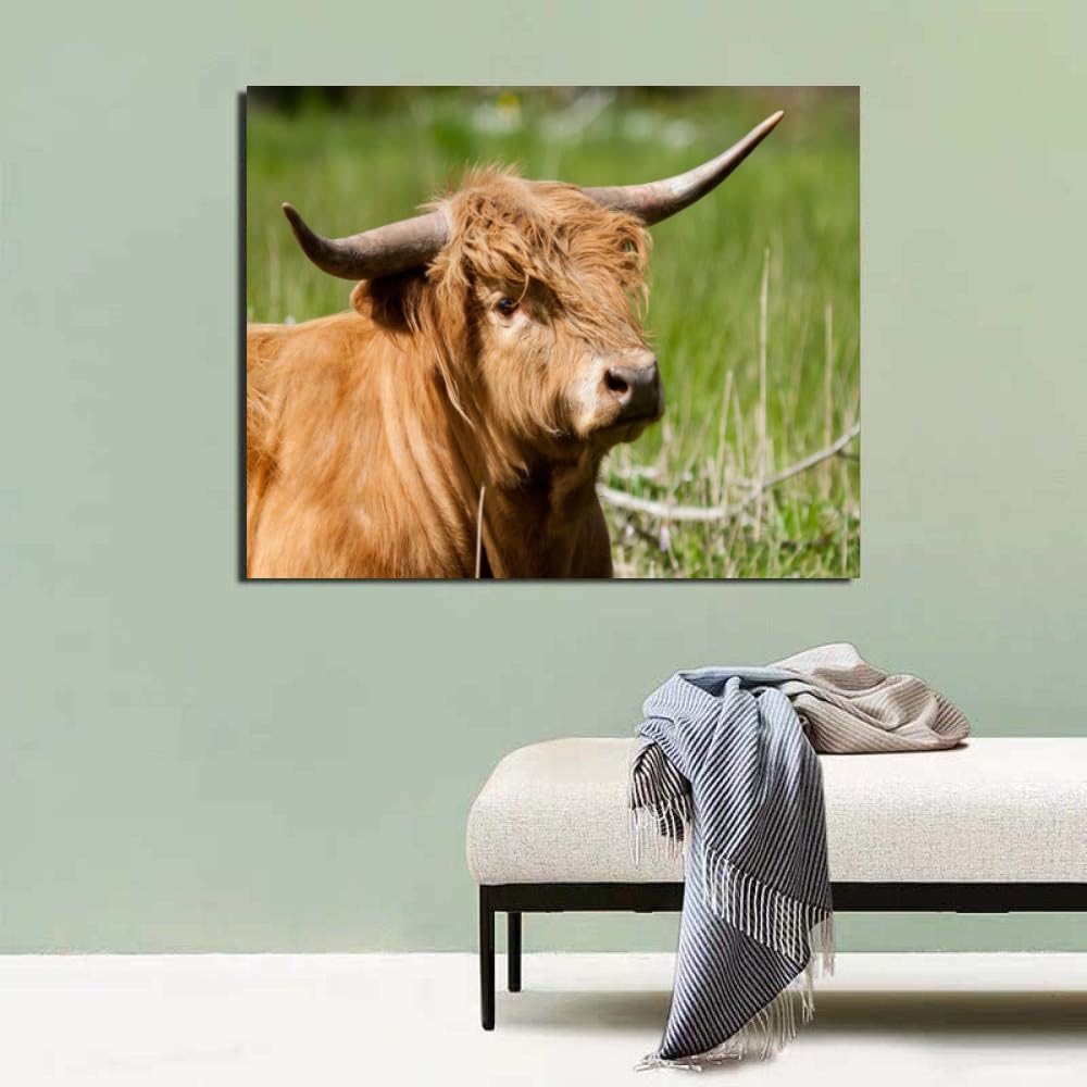 Fizdoqg Pintura Por Números Para Adultos Y Niños – Lienzo De Vaca De 40x50 Cm Con Pinturas Y Pinceles