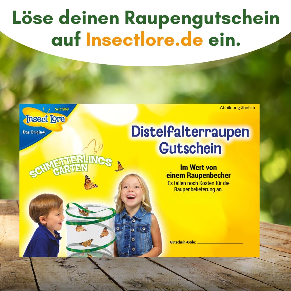 Insect Lore Gutschein Set: Schmetterlingszucht für Kinder & Erwachsene – Schmetterlingsgarten ohne lebende Raupen - Heimische Arten | Raupen züchten - Schmetterlingshabitat für zu Hause ab 3 Jahren