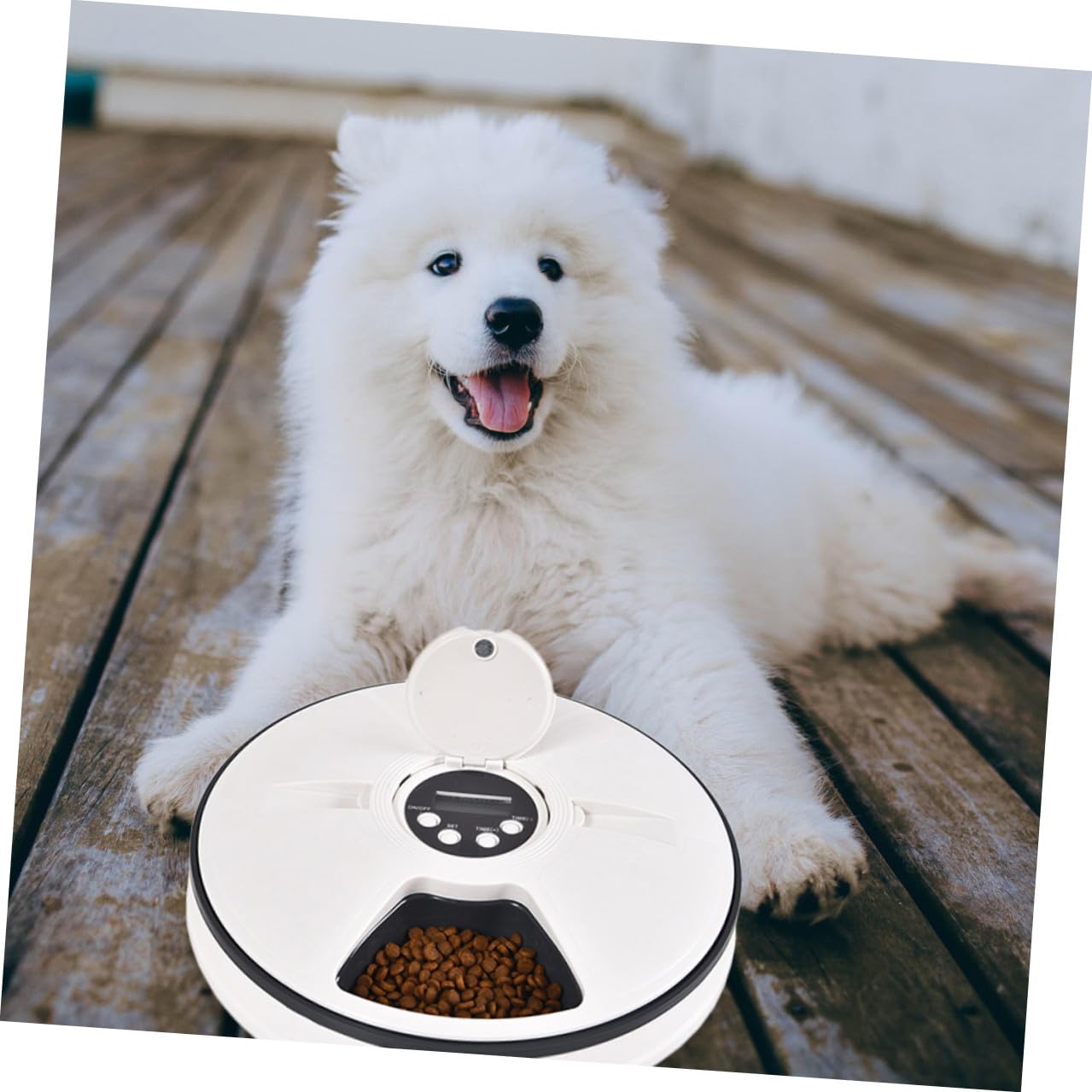 Comedero Automático para Mascotas Temporizador 6 Comidas | Capacidad 90g, Acabado Negro Abs, Base Antideslizante y Diseño Desmontable, Cabe en Esquina