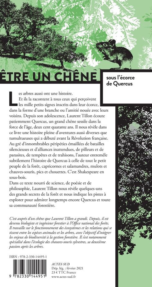 Être un chêne: sous l'écorce de Quercus