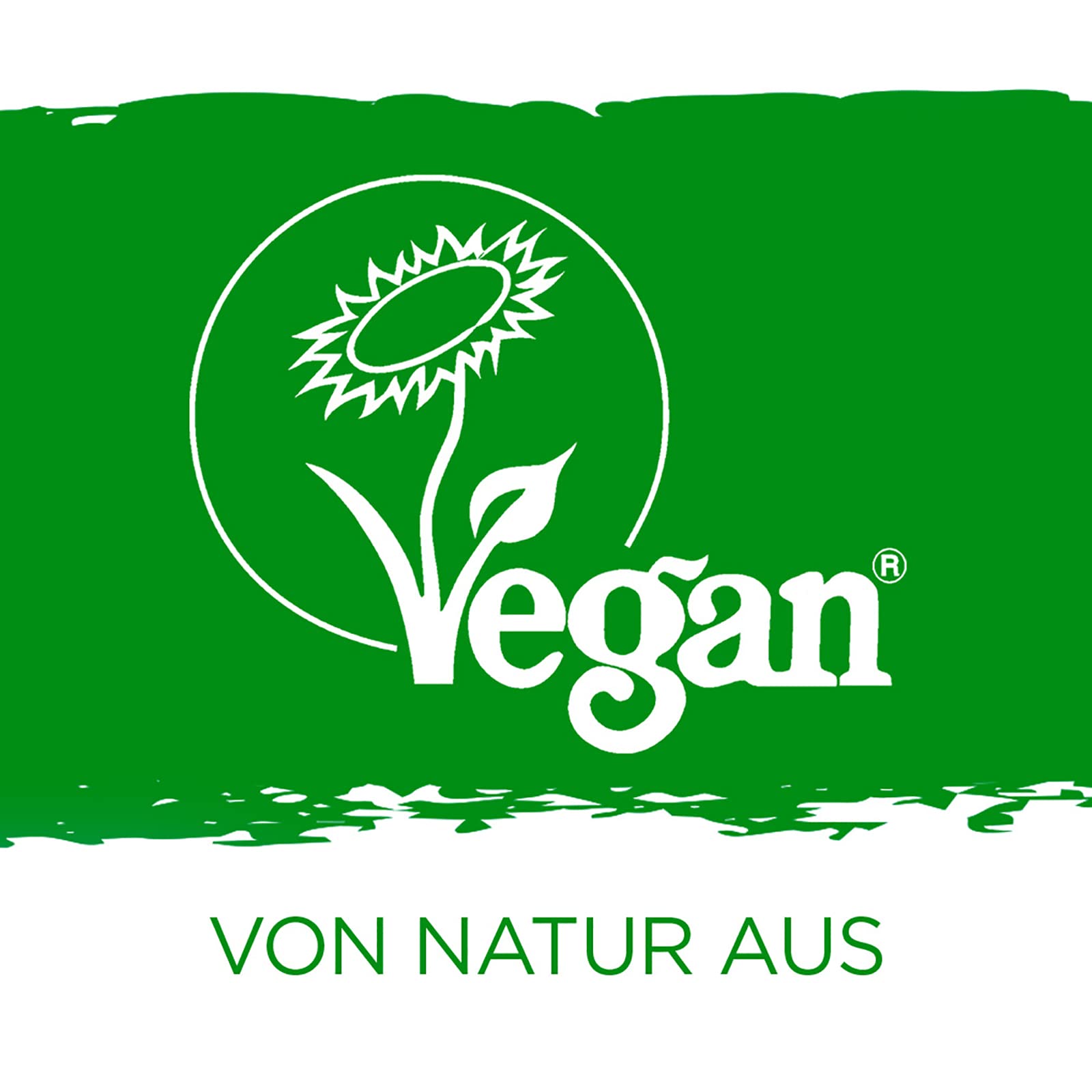 Maryland Pinienkerne 1000g Vorratspackung 4er Pack – Pinienkerne naturbelassen, vegan, frei von künstlichen Aromen, ohne Zusatzstoffe – Im Großbeutel genießen (4 x 1000g)
