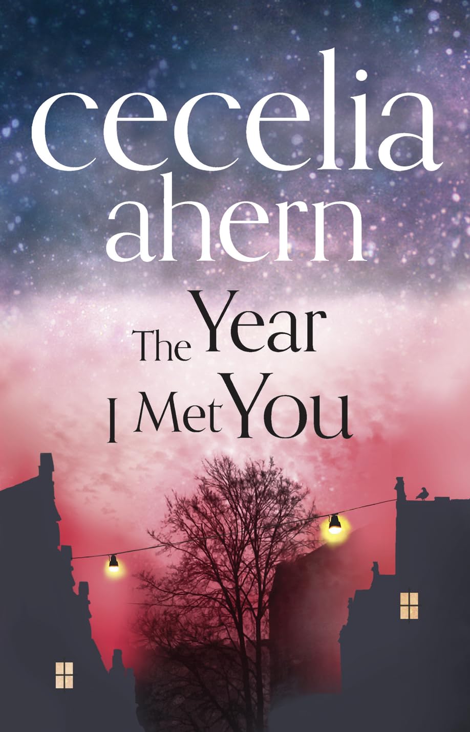 The Year I Met You By Ahern Cecelia - Paperback