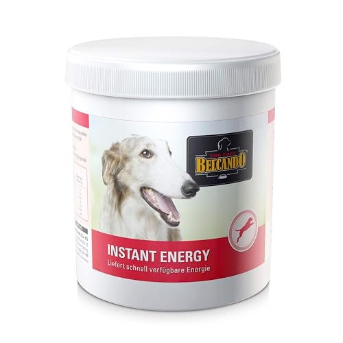 Belcando Instant Energy [500 g]