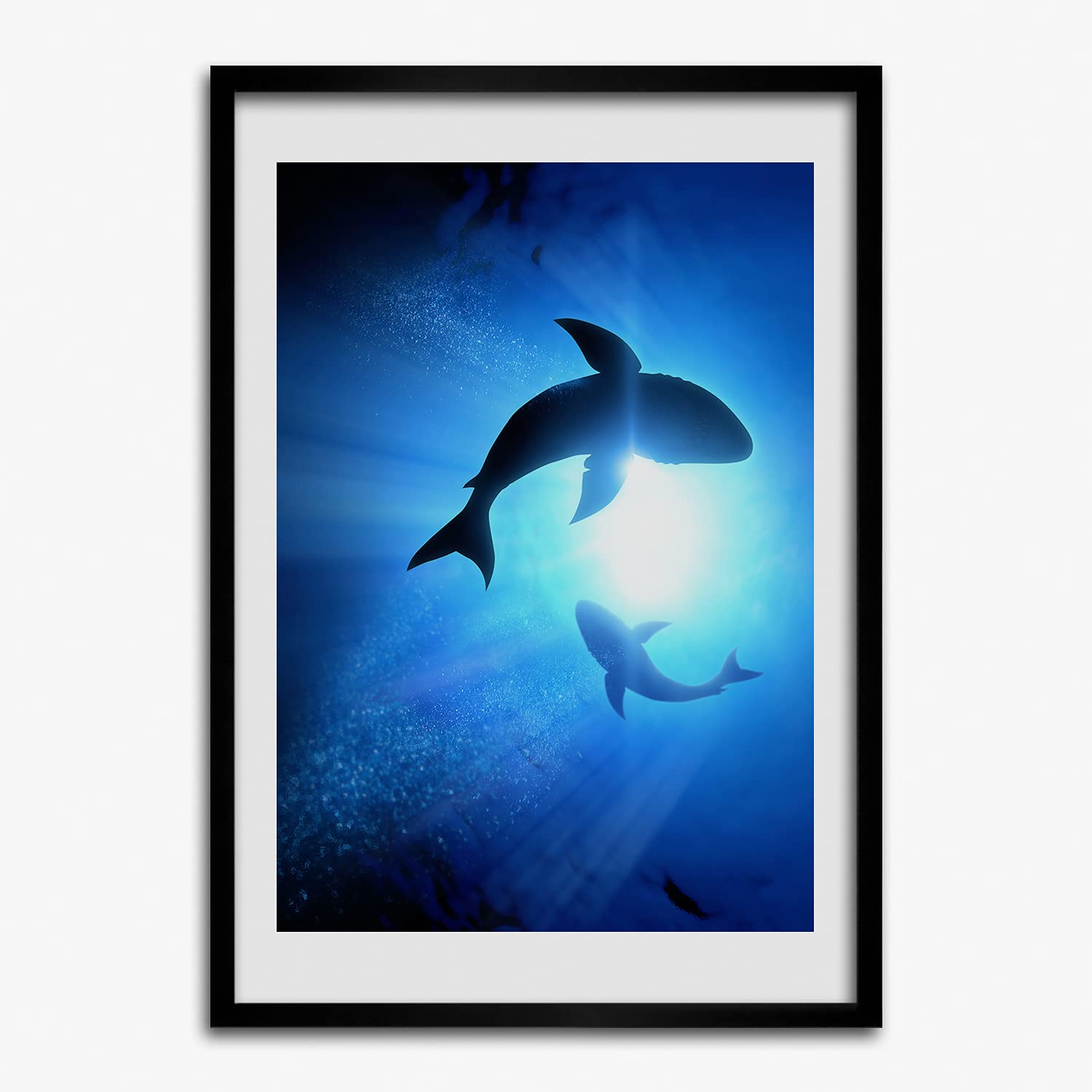 Photo affiche moderne de requins pour décoration murale - 7