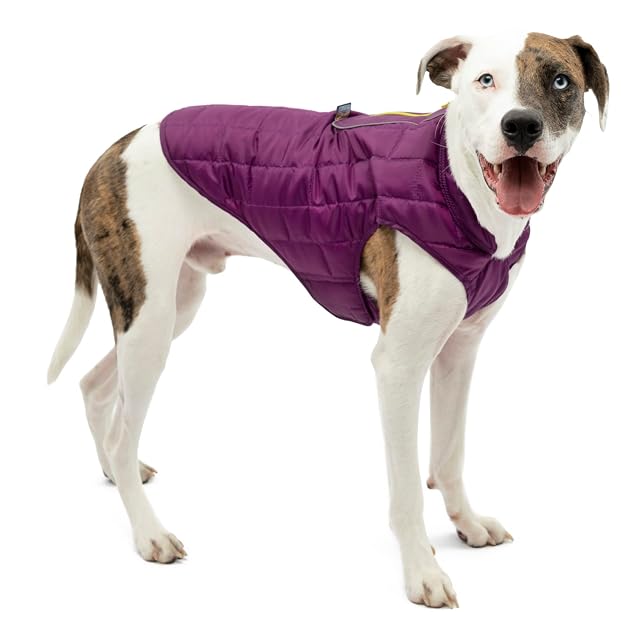 Kurgo Loft - Abrigo/Chaqueta para Perro de Diseño Reversible, Impermeable, Ajustable, Morado/Gris, XL