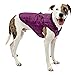 Kurgo Reversible Winter Dog Jacket