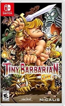 Video Game Tiny Barbarian DX(Tbd) Book