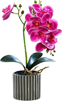 Orchids Artificial Flowers 12.6in 8Petals Fake Orchid with Pot,Purple