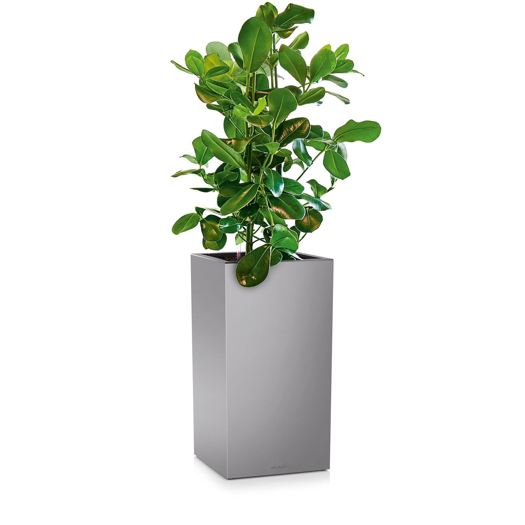 Lechuza Canto Premium High 40 silber metallic