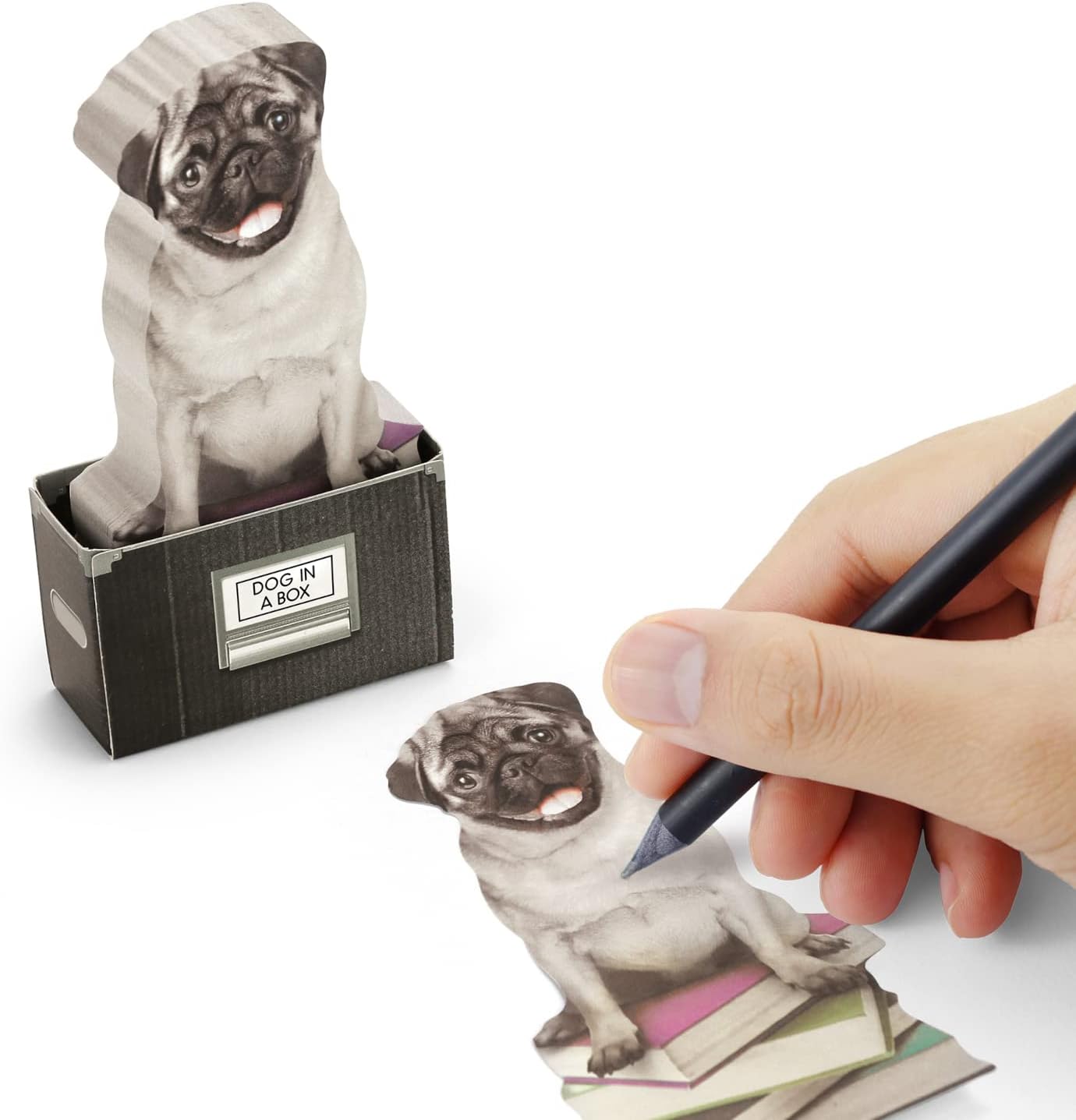Sticky Post Notes Memo Pad - Dog In A Box