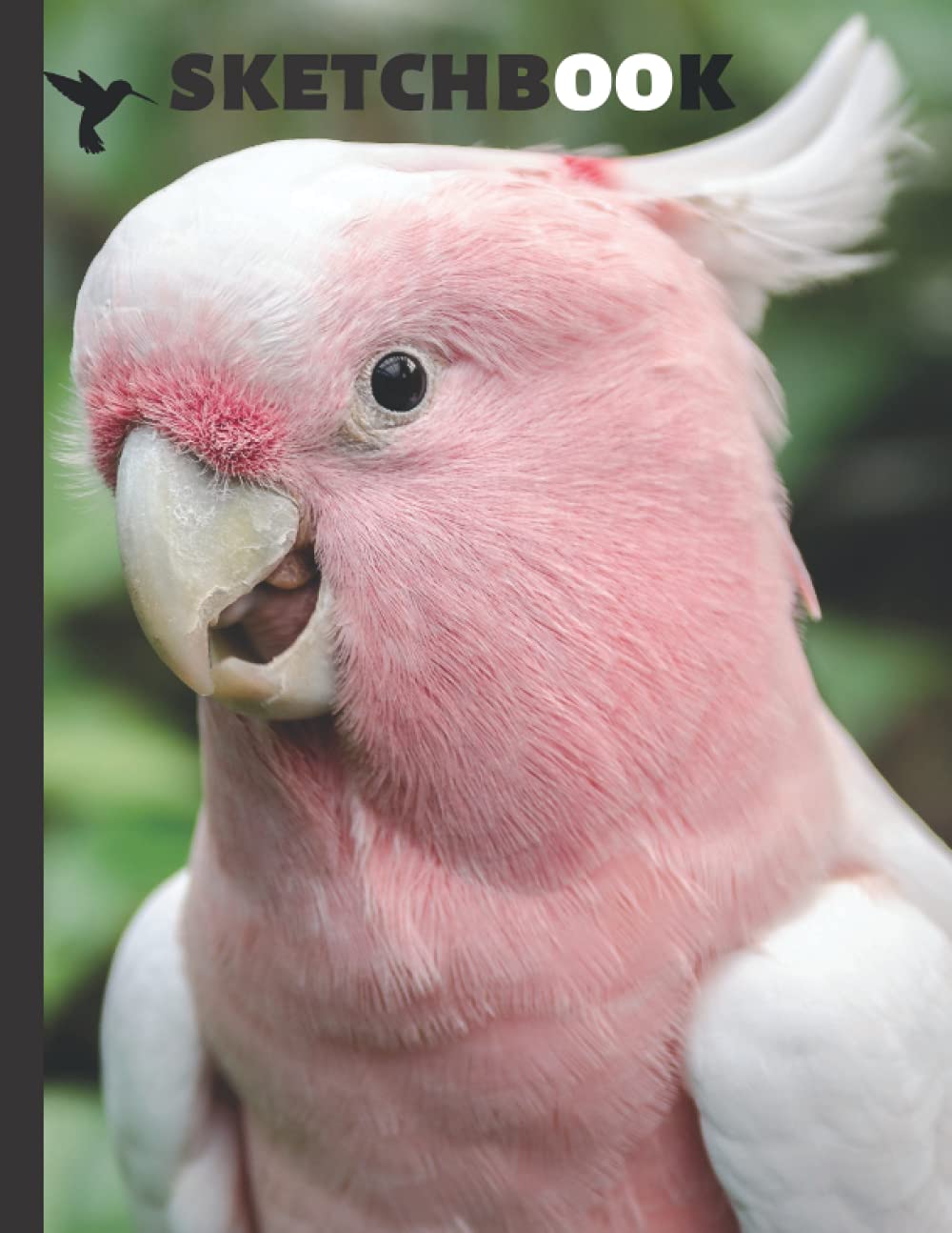 Sketchbook: parrot and pink triangle cover. Large sketchbook perfect for every talented creative artist... 109 blank pages ( 8.5" x 11).