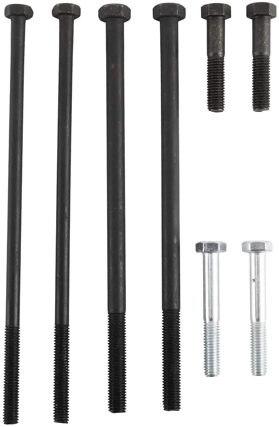 Calado distribucion compatible con BMW motores N51 N52 N53 N54 N55 VANOS Valvetronic