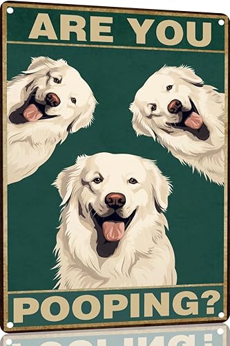 Vista 46 de Bichon Frise Dog - Cartel de 12 x 16 pulgadas con texto en inglés "Are You Pooping" para decoración de baño, póster de metal para perro amante