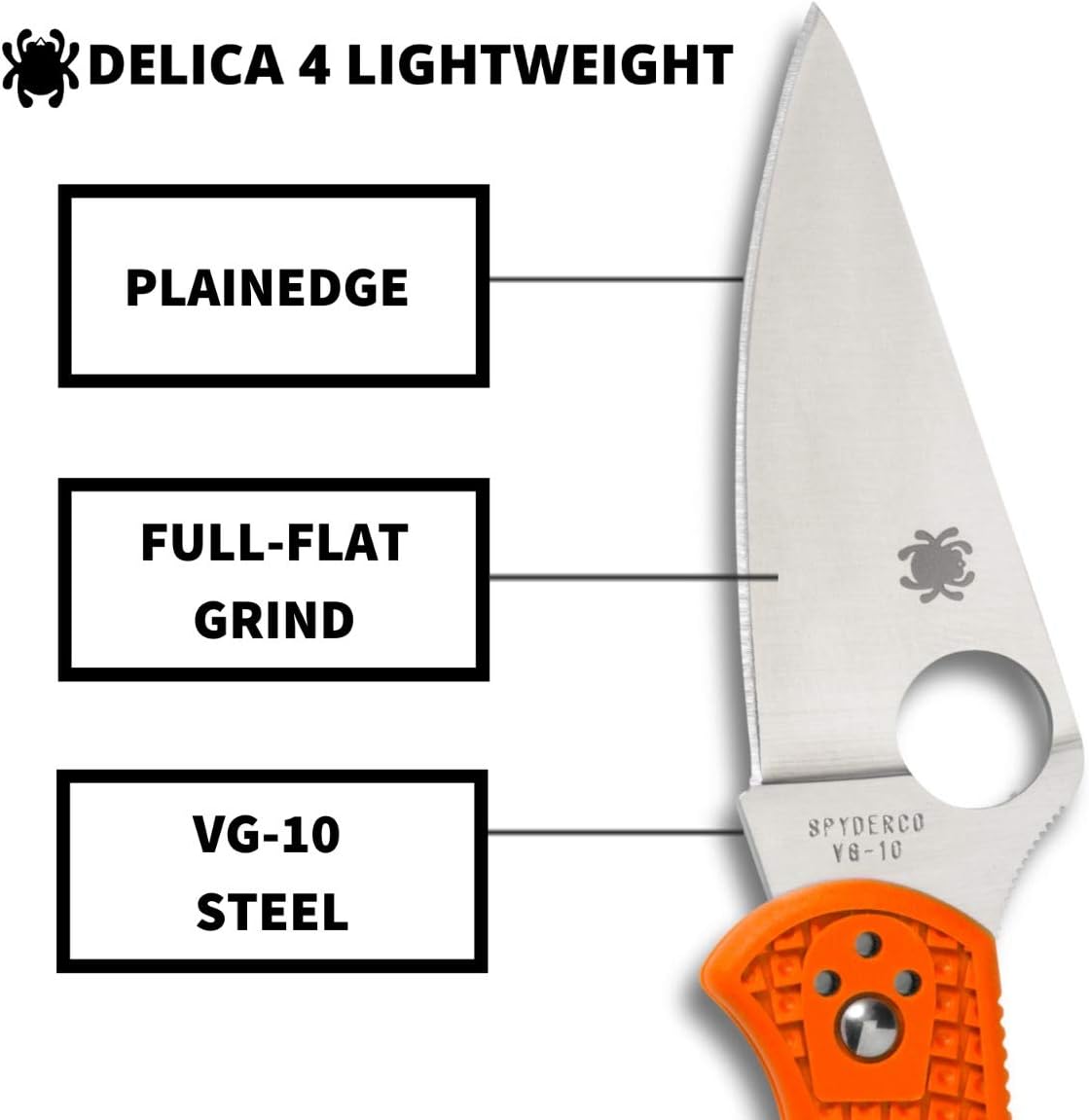 Spyderco Delica 4 Lightweight Folding Pocket Knife with 2" VG-10 Steel Blade and FRN Handle - EDC Knife for Men and Women, Perfect for Hunting, Tactical, Camping, Survival - PlainEdge - C11FPOR