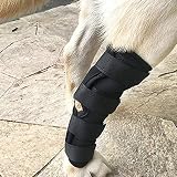 マックスペット 【国内発送】犬 関