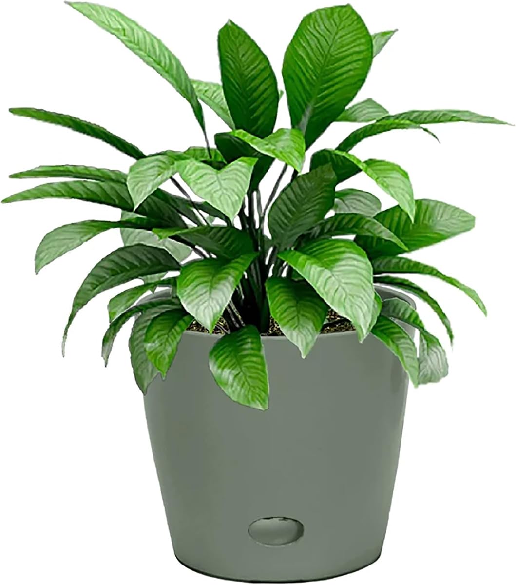 Ecolife Bamboo Fiber Self-Watering Planter Set view 2