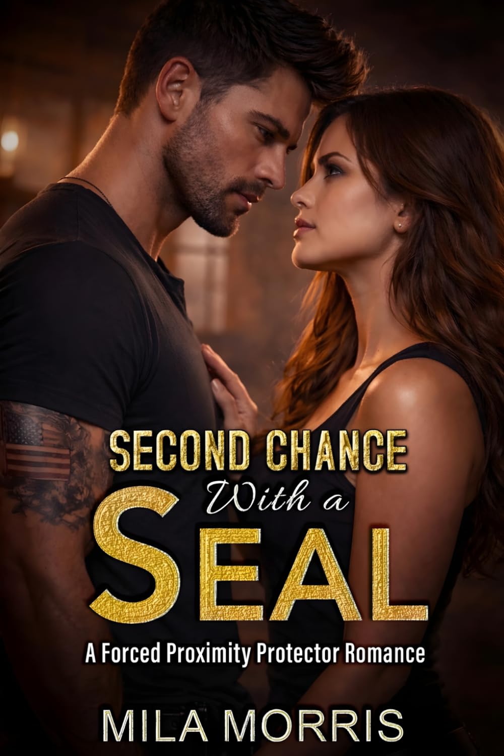 Second Chance With a Seal