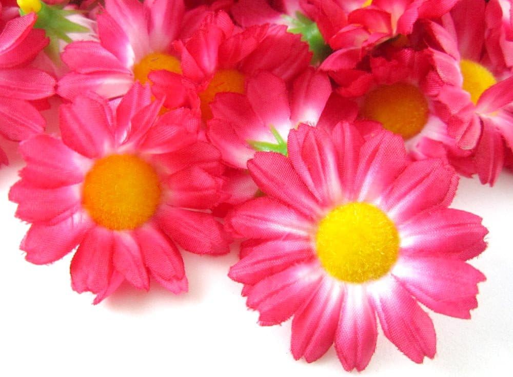 (24) Silk Hot Pink Gerbera Daisy Flower Heads , Gerber Daisies - 1.75" - Artificial Flowers Heads Fabric Floral Supplies Wholesale Lot for Wedding Flowers Accessories Make Bridal Hair Clips Headbands Dress