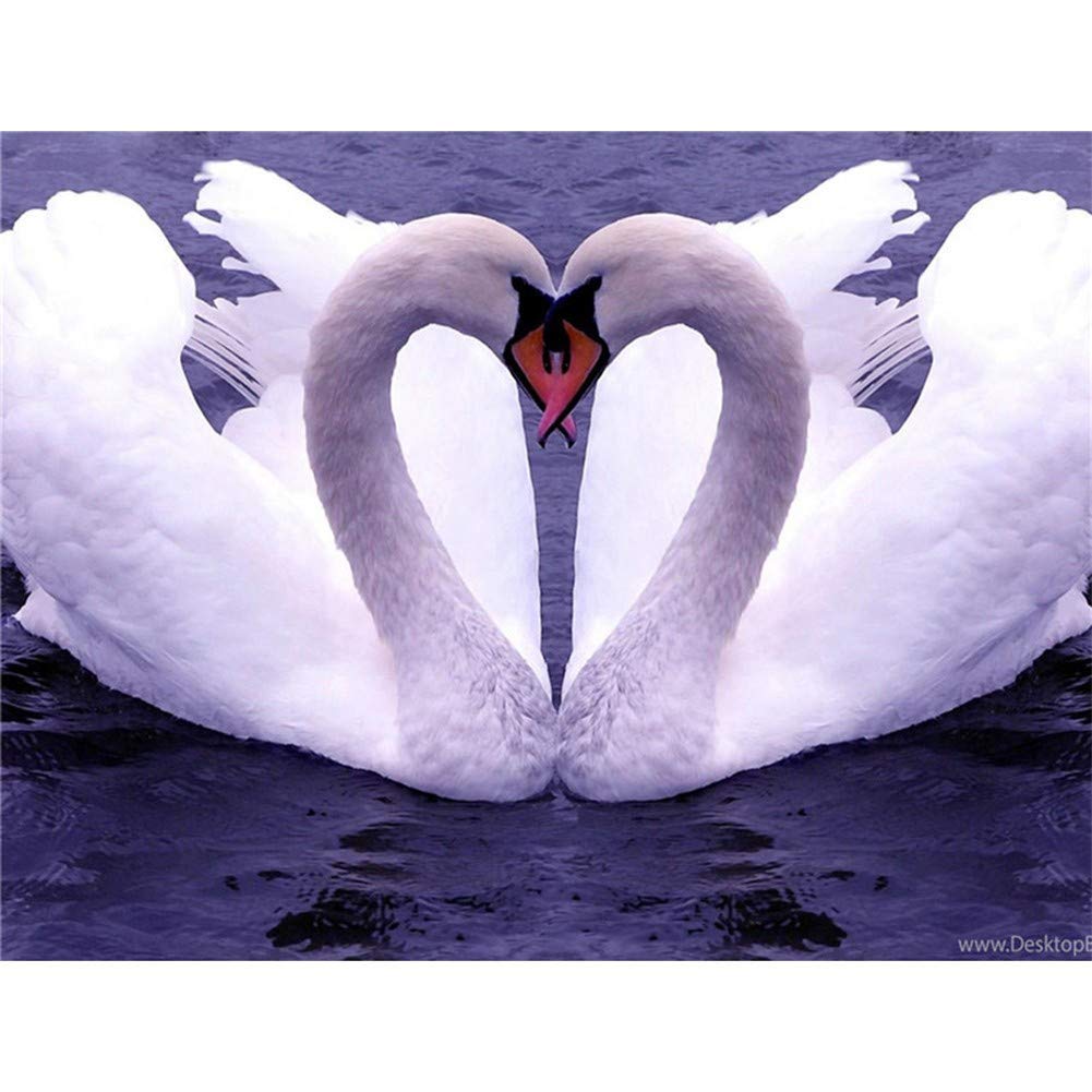 Diamond painting cygne 5D pour sublimer la décoration murale du salon