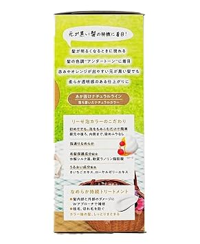Japan Version Creamy Bubble Color by Kao - 1 Box