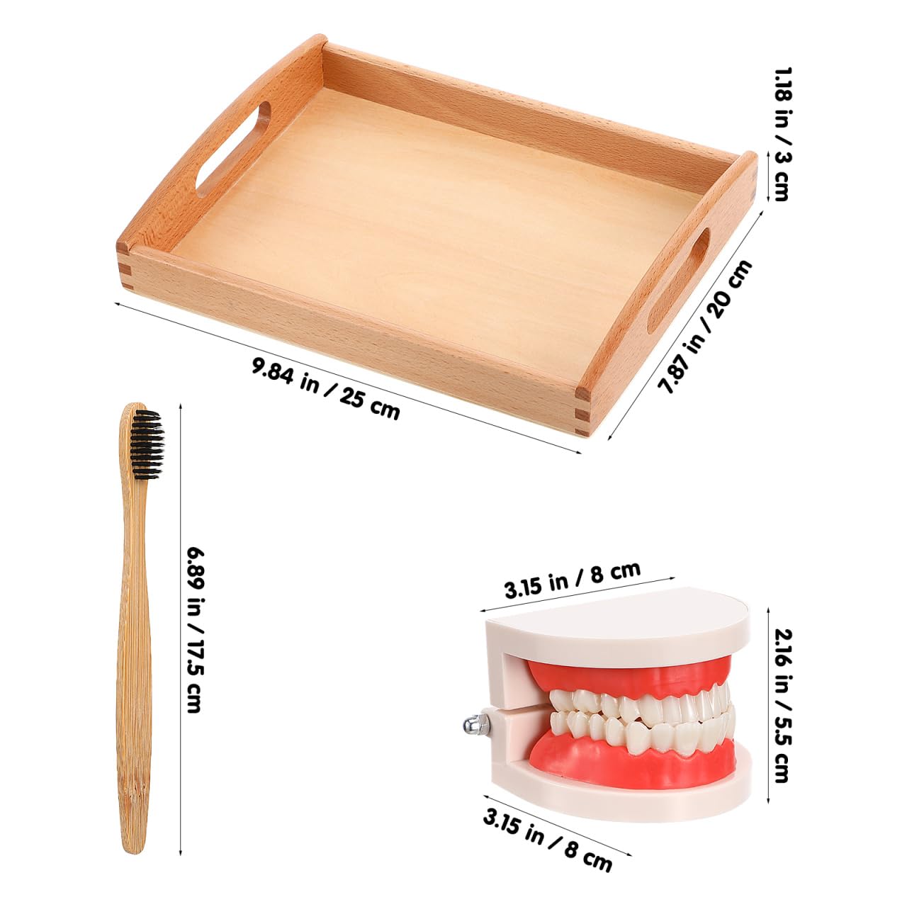 SUPVOX 1 ensemble de jeu éducatif en bois pour le brossage des dents avec lavage gargarisme outil d'apprentissage précoce pour la sensibilisation à l'hygiène brosse à dents incluse Couleur aléatoire