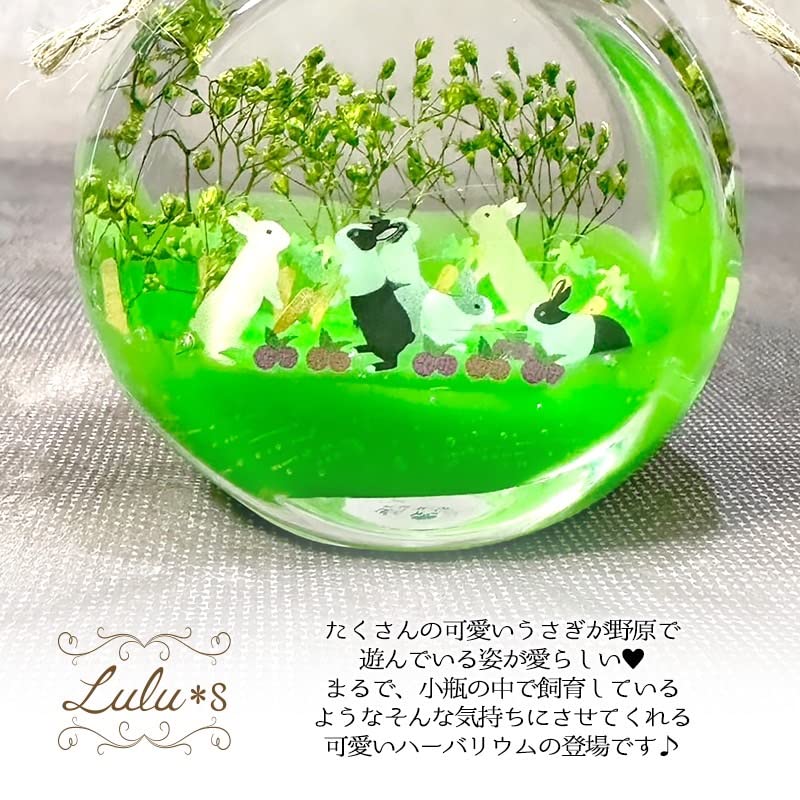 Amazon.co.jp: Lulu's ルルズ 野うさぎのハーバリウム うさぎ 雑貨