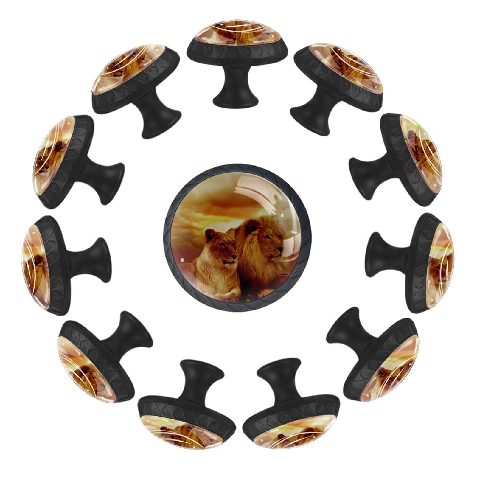 Boutons de tiroir ronds Lions animaliers de 35 mm pour commode et chambre, lot de 12