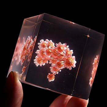 errer フランネルフラワー 土台付 筆記体 樹脂標本 植物標本 アンティーク errer フランネルフラワー 土台付 筆記体 樹脂標本 植物標本