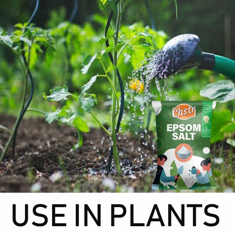 Bagga Planters Epsom Salt Magnesium Sulfate For Speed Up, 44 OFF